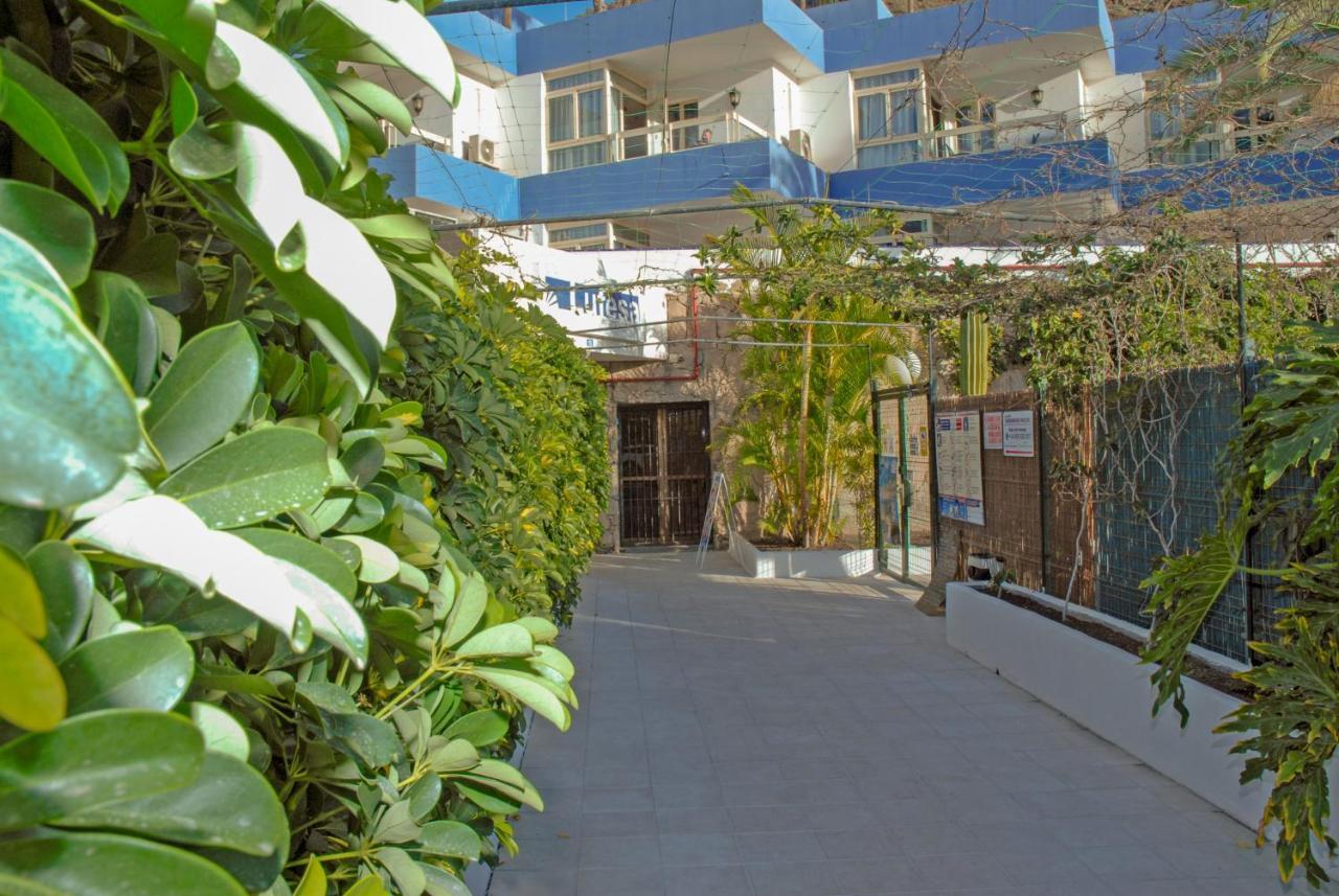 Lufesa Apartment Puerto Rico  Ngoại thất bức ảnh